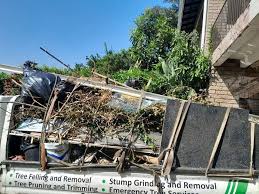 Best Same-Day Junk Removal Services in Holtville, AL